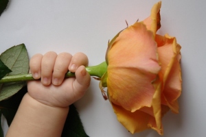 Small hand and flower